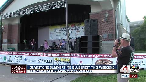 Gladstone Summertime Bluesfest happening this weekend