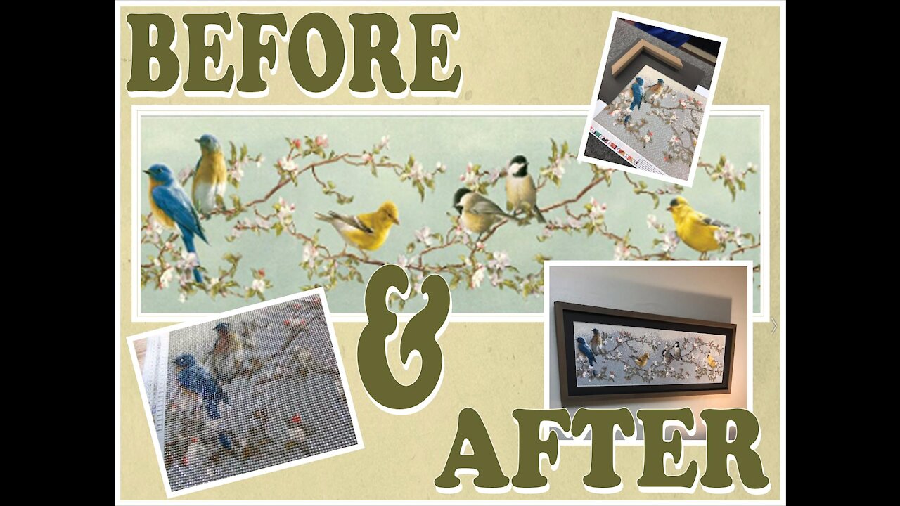 BEFORE & AFTER DP Kit: Border of Birds