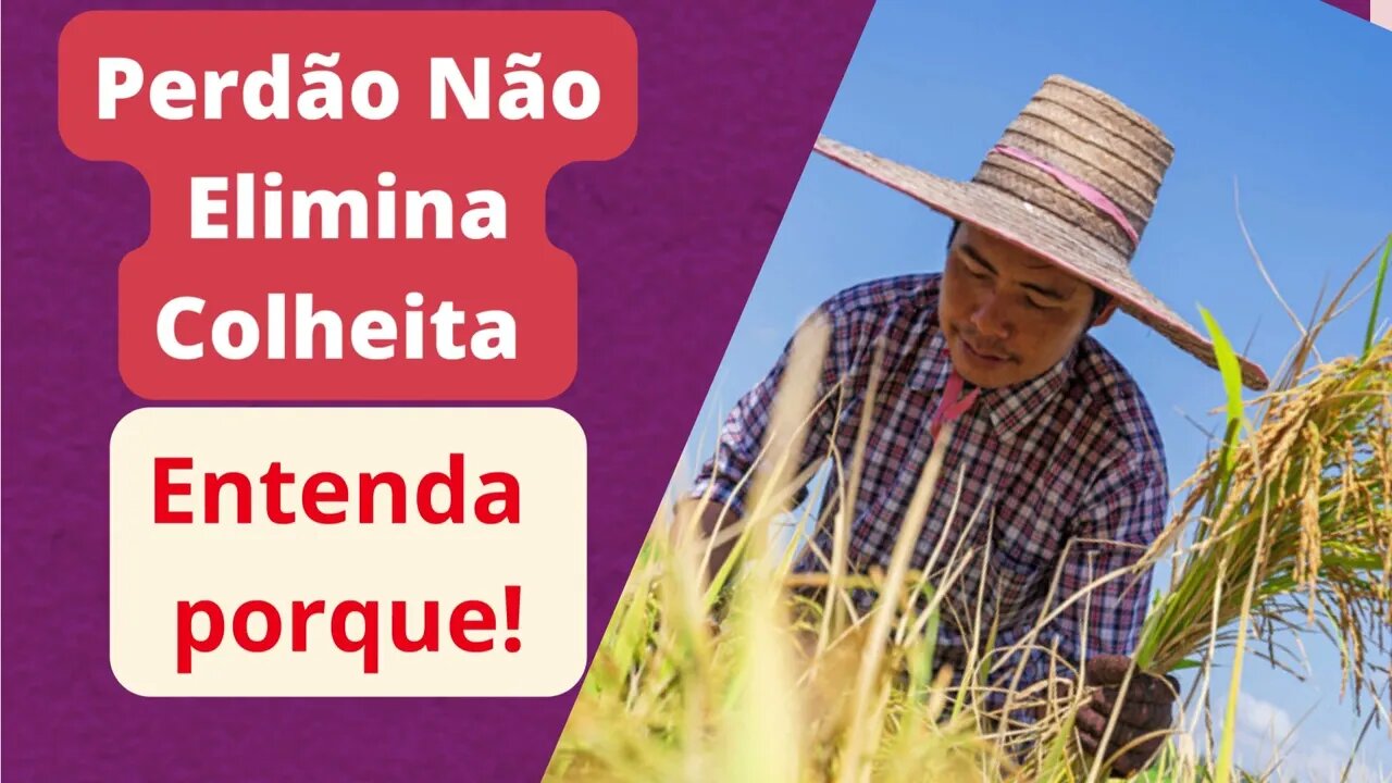 Perdão não Elimina Colheita, Entenda Porque!