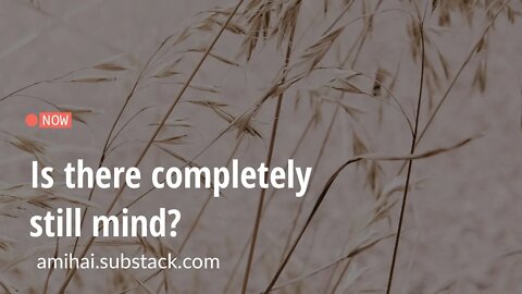 Is there completely still mind? | amihai.substack.com | Art of Now