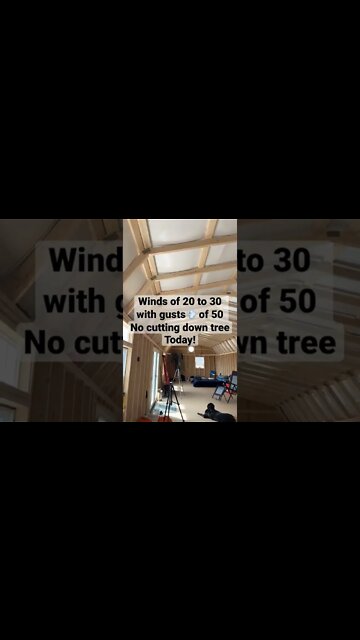 Windy day on the Homestead￼