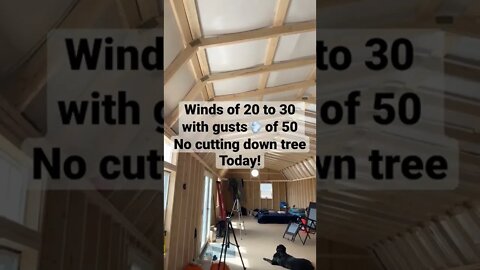 Windy day on the Homestead￼