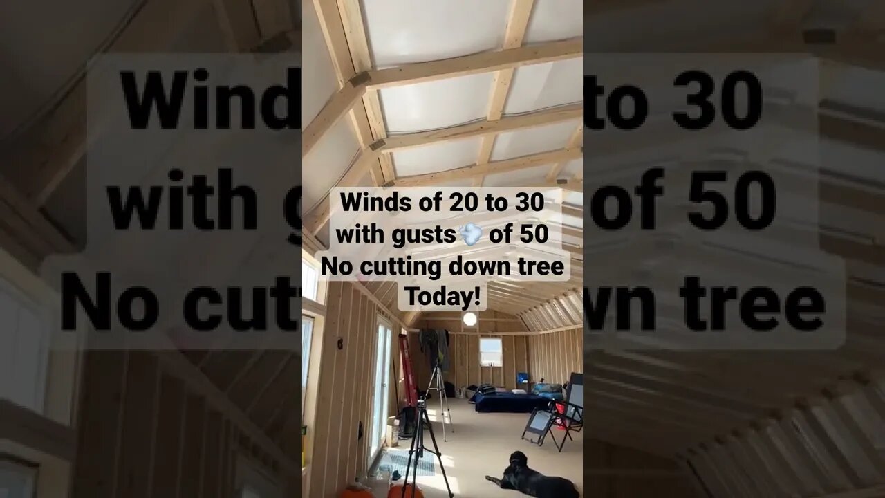 Windy day on the Homestead￼