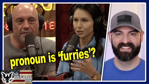 Tulsi Gabbard on Joe Rogan