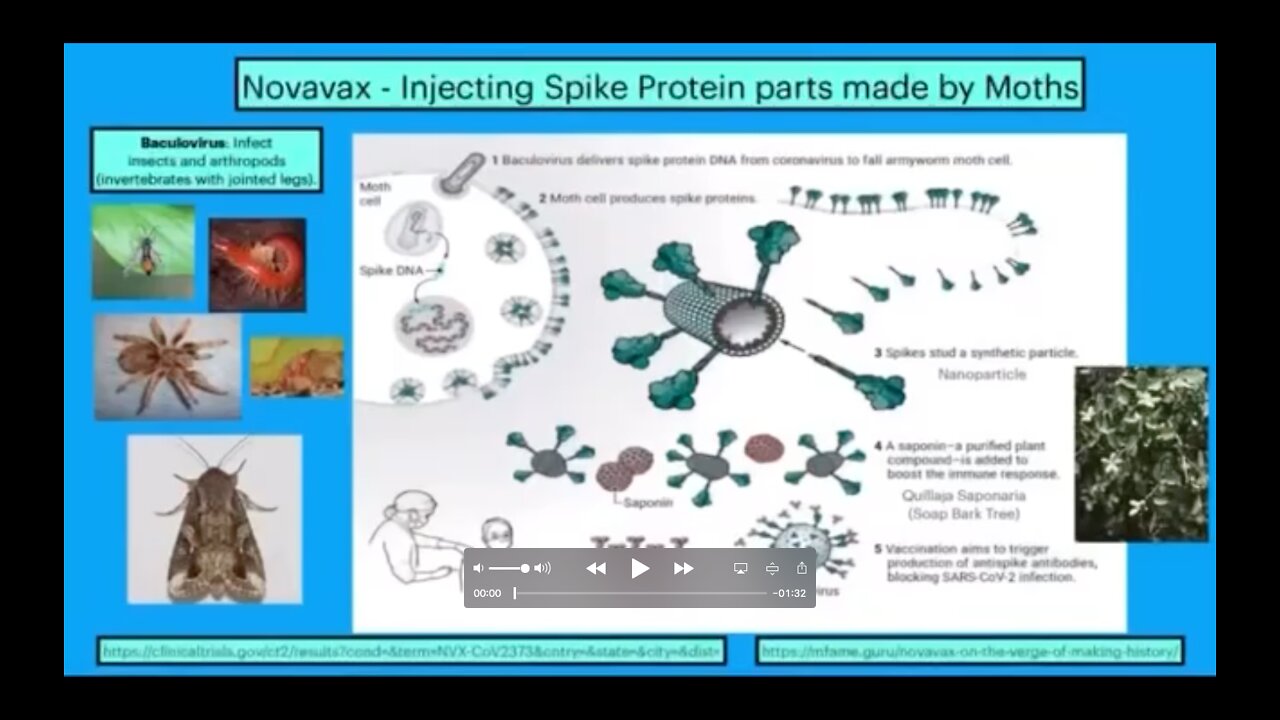 New NovaVax- Vaccine Approved Containing Insect DNA