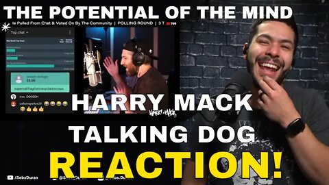 Harry Mack Talking Dog Freestyle (Reation!) | it's actually a story that moves HOW?!