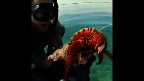 This is insane | #Shorts #animal