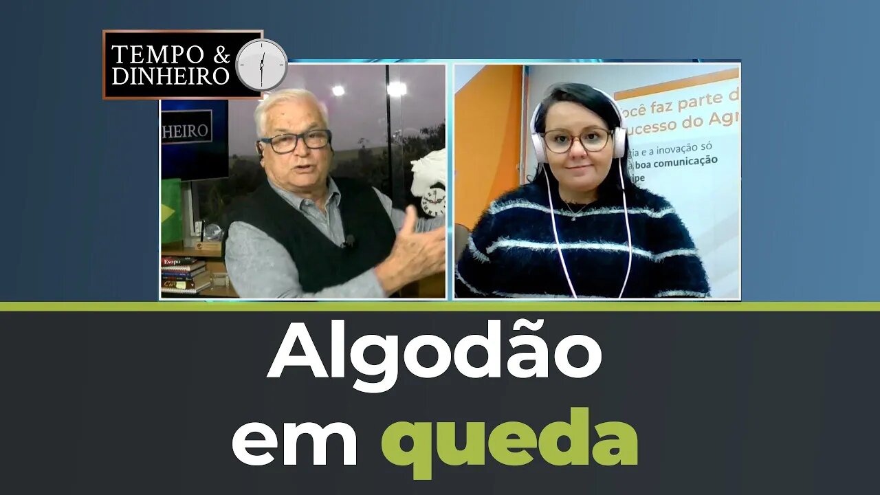 Algodão em queda acompanha clima nos EUA com melhora nas condições de chuva por Carla Mendes