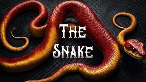 THE SNAKE