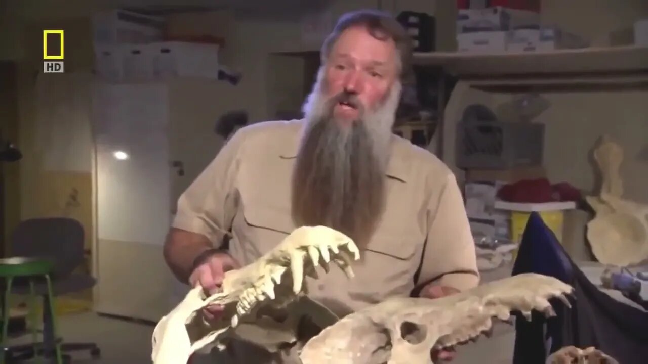 Prehistoric predators Wildlife Animals Documentary @ABR Entertainment