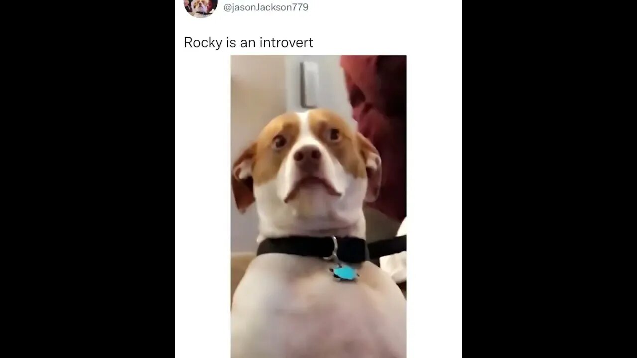 YOU ARE GUYS ARE TOO NOISY; GET OUT! 😝🤣