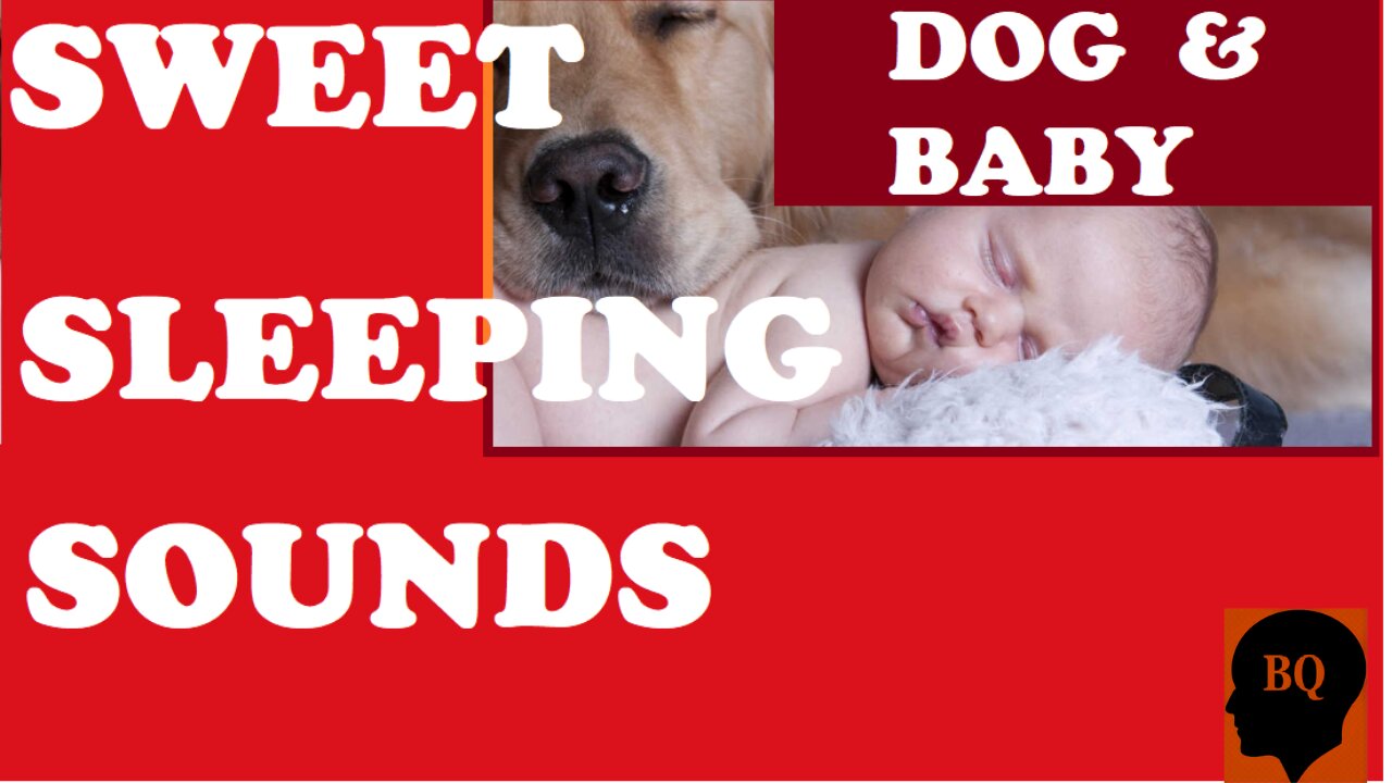 SWEET SLEEPY SOUNDS. DOG AND BABY