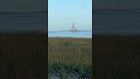 Sailboat in Charleston Harbor, SC