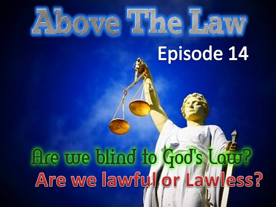 Above the Law episode 14( Lawlessness)