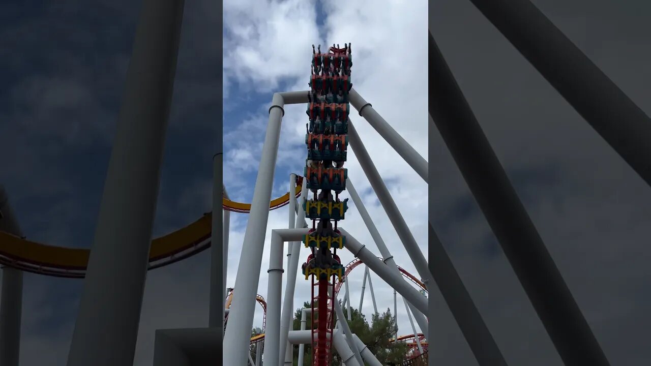 Cobra Rolls Are Beautiful #shorts