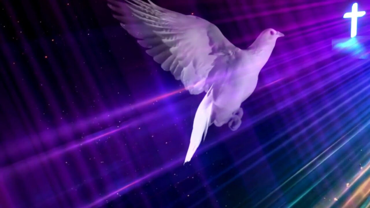 Holy Spirit in body form like a dove video background loop