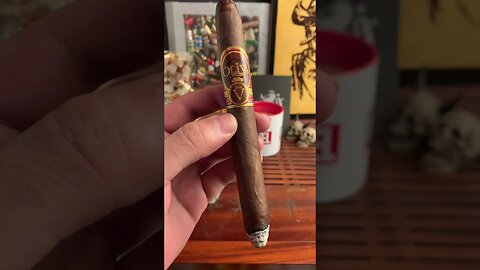 Oliva V Diadema Review 🍂