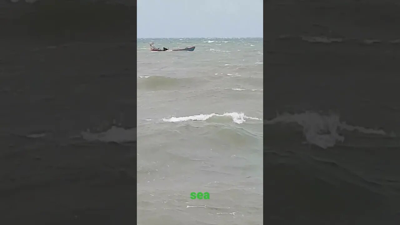 BIG wave! #shorts