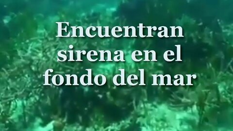 ¡¡¡ENCUENTRAN UNA SIRENA EN EL FONDO DEL MAR!!!