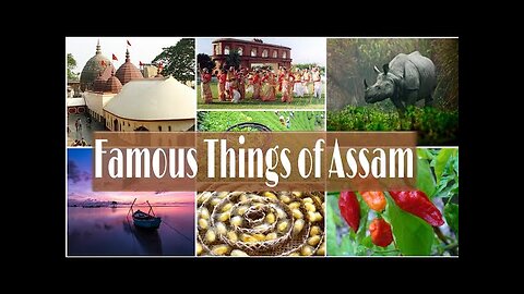 Famous things of assam