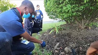 Roswell Park high school interns helping clean up the community