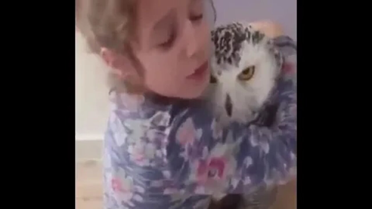 O mundo seria muito melhor, se as pessoas amassem como os animais