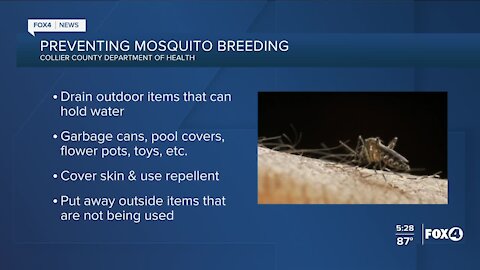 Preventing mosquito breeding