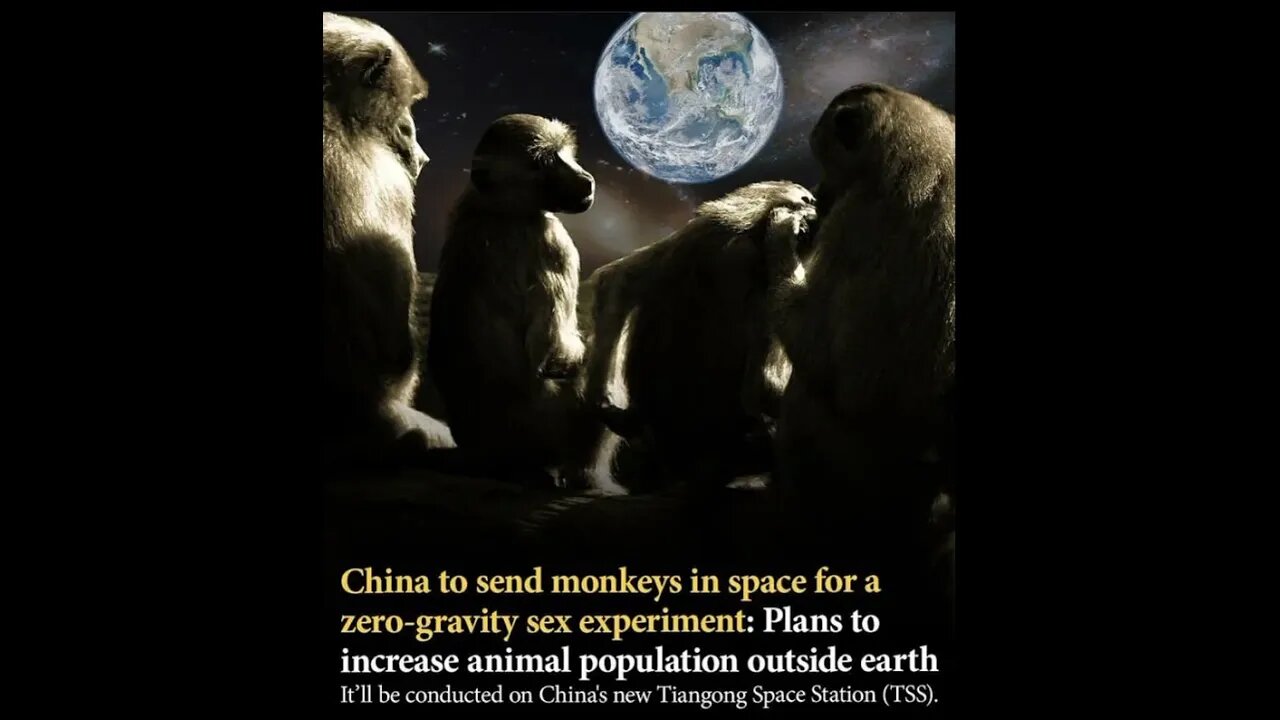 China to send monkeys into space to study reproduction