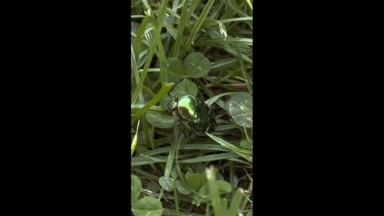 What is this?
