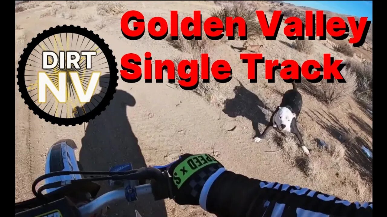Golden Valley Single Track (Crash)