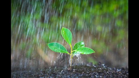 Rain sound to relax