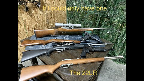 If I only had one… The 22LR