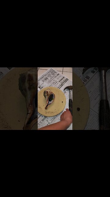 Ok Conch meet your Maker!!!