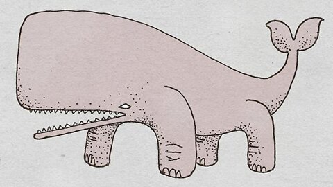 Confessions Of A Land Whale