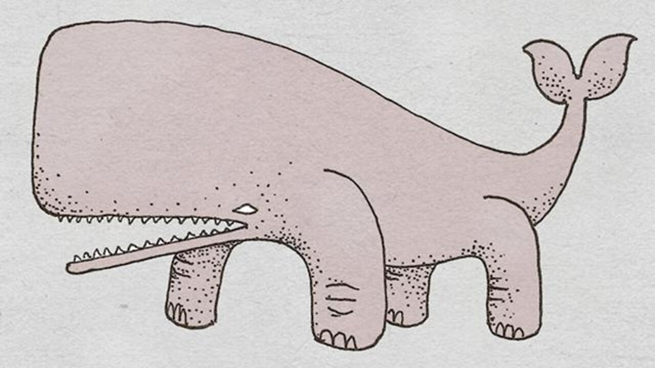 Confessions Of A Land Whale