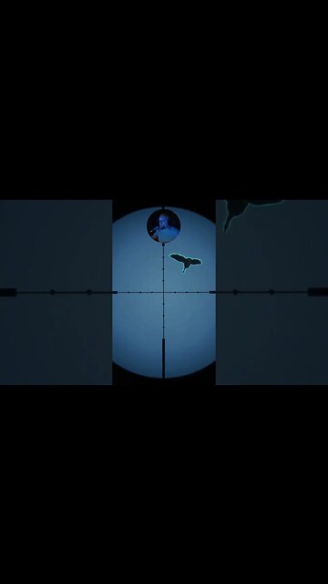 Bird in the sky #callofthewild #cotw #game #mrandmrswolfgaming #shorts