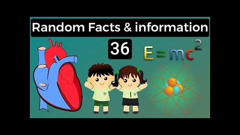 Random Facts #2 | Facts & Informations