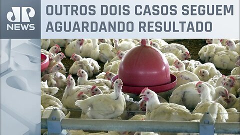 Suspeita de gripe aviária em funcionário de parque no ES é descartada