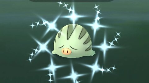 Catching Shiny Swinub