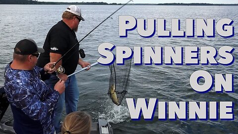 Using spinners to catch walleyes on Lake Winnie