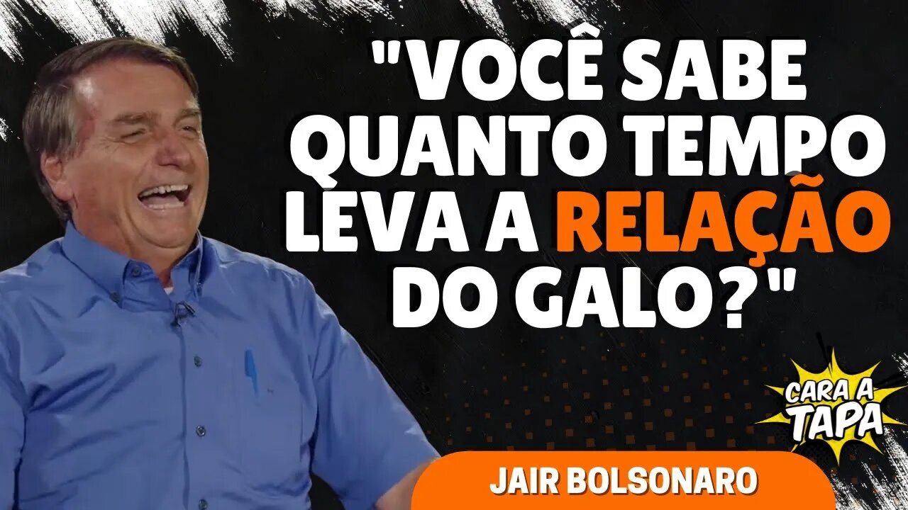 AS MELHORES ZOEIRAS DE BOLSONARO NO CARA A TAPA