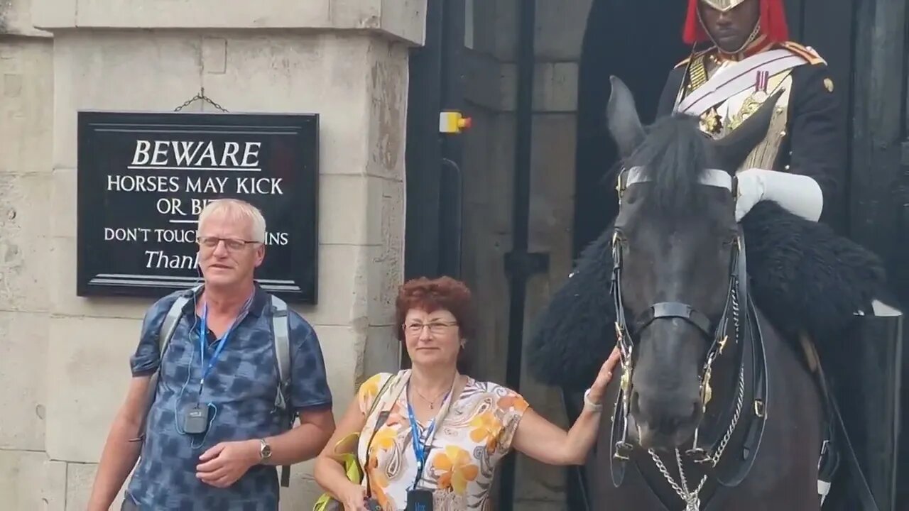 The boot told her 😆 🤣 😂 #horseguardsparade