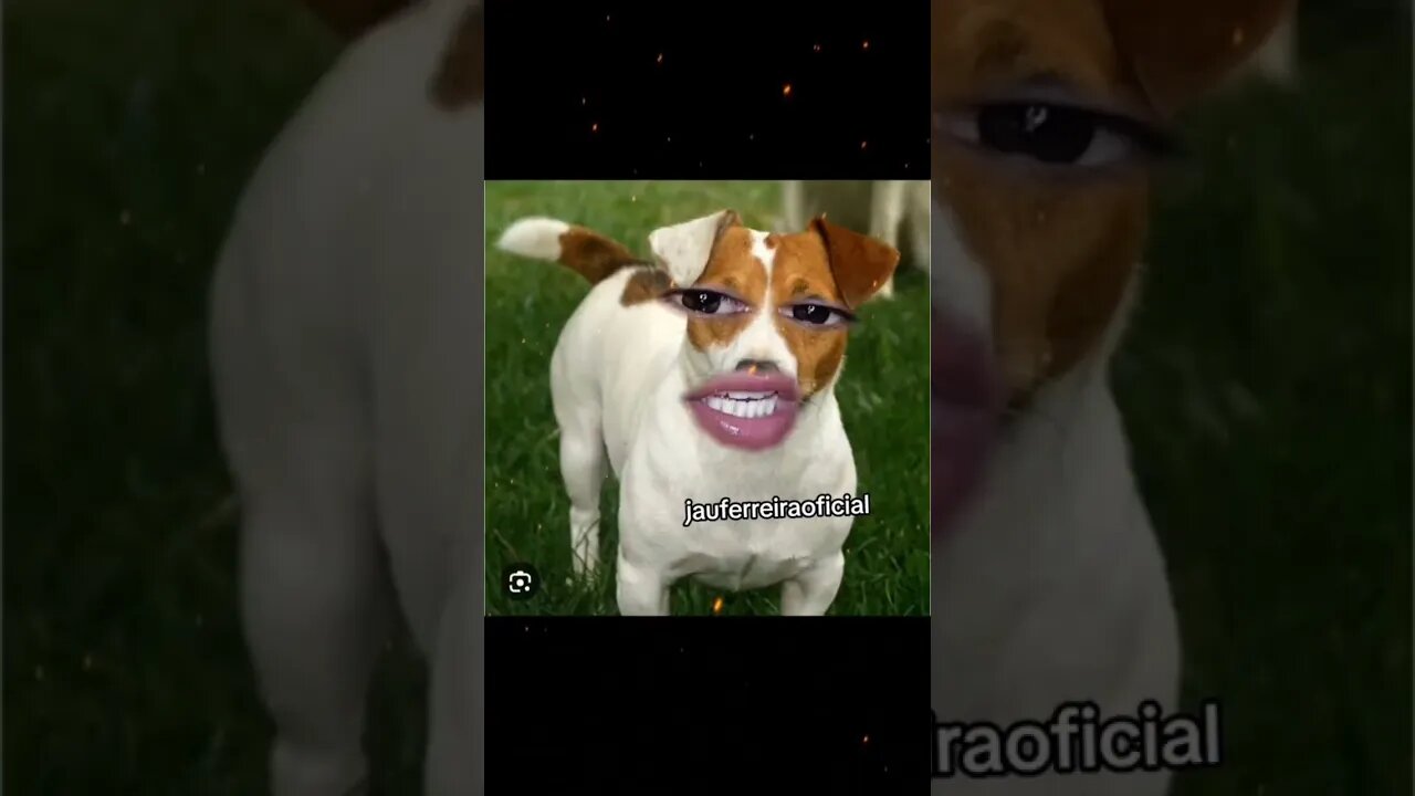 cachonilda ta com ciúmes
