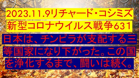 2023.11.09 リチャード・コシミズ新型コロナウイルス戦争６３１