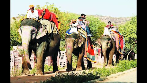 Men Sawaari With Elephant