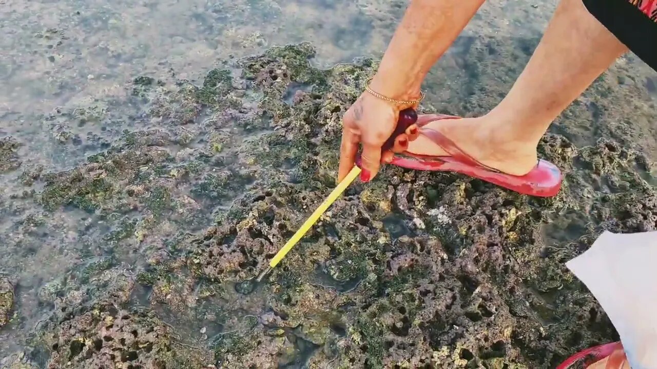 Fishing at Malala Seashore Diu-Daman India