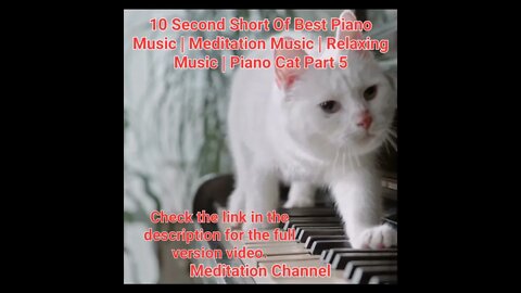 10 Second Short Of Best Piano Music | Meditation Music | Relaxing Music | Piano Cat Part 5 #shorts