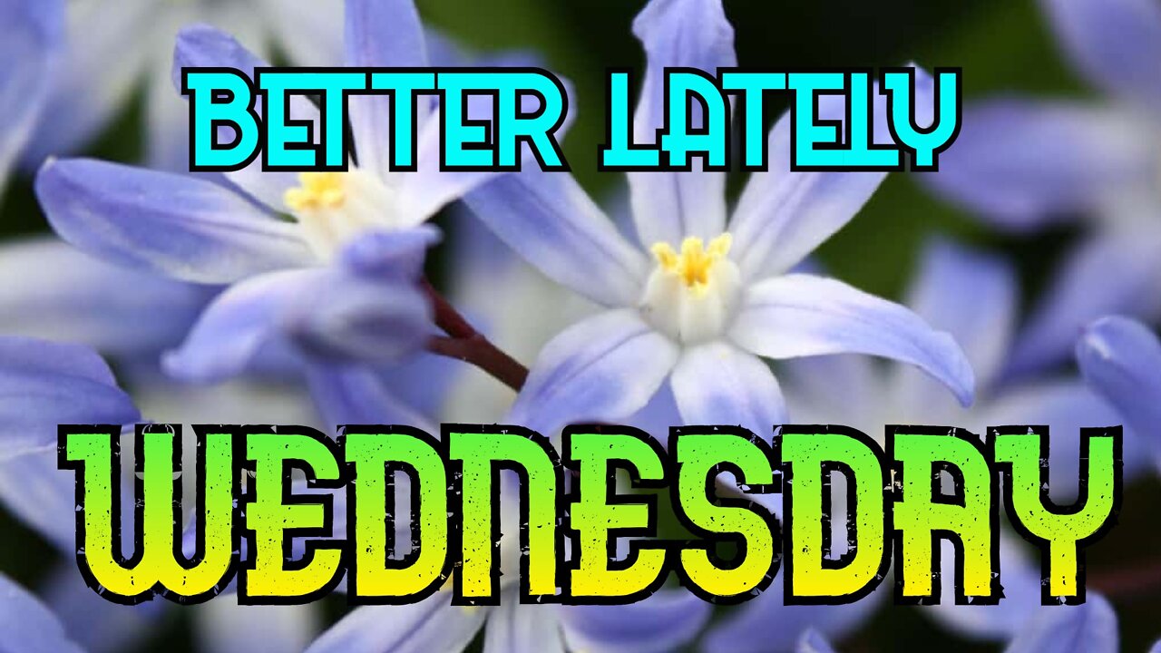Better Lately - Wednesday