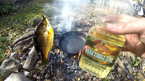 Catch and Cook Bluegill over a CAMPFIRE ?!