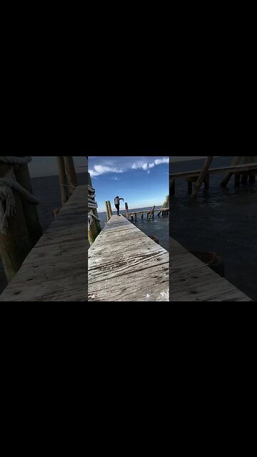 Secret Island In Louisiana #shorts